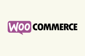 wordpress et woocommerce plateformes création site ecommerce wordpress et woocommerce plateformes création site e-commerce